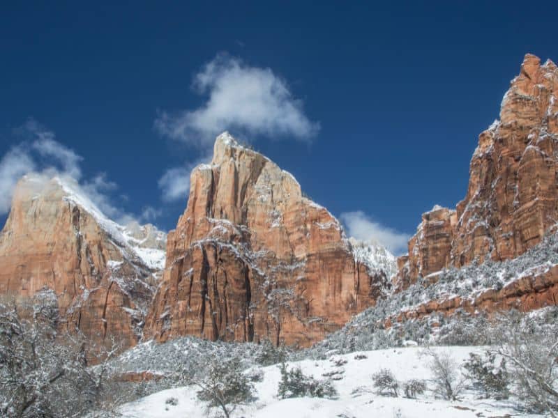 Zion National Park Winter