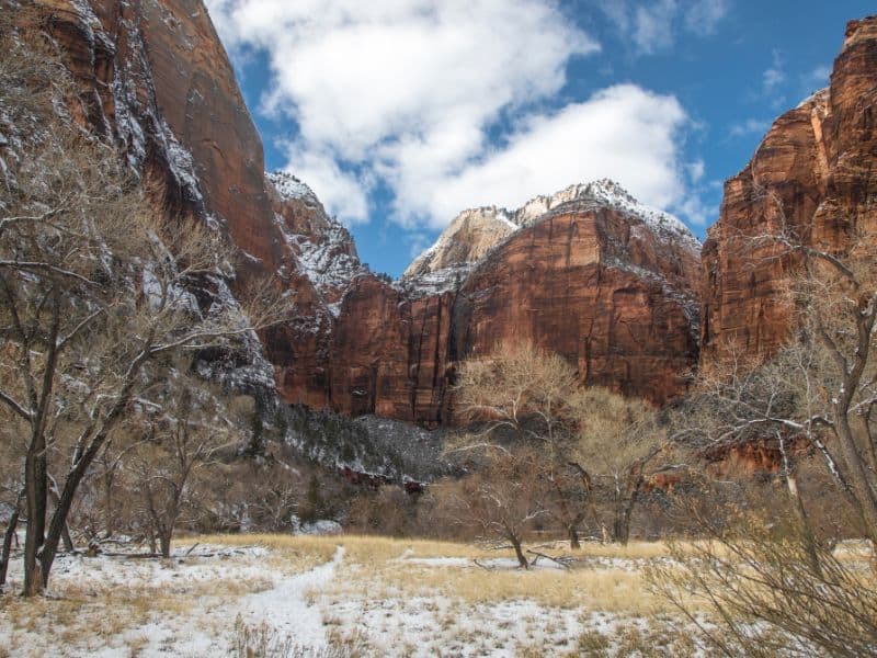 Zion National Park In Winter: A Spectacular Sight! 8 Winter in Zion
