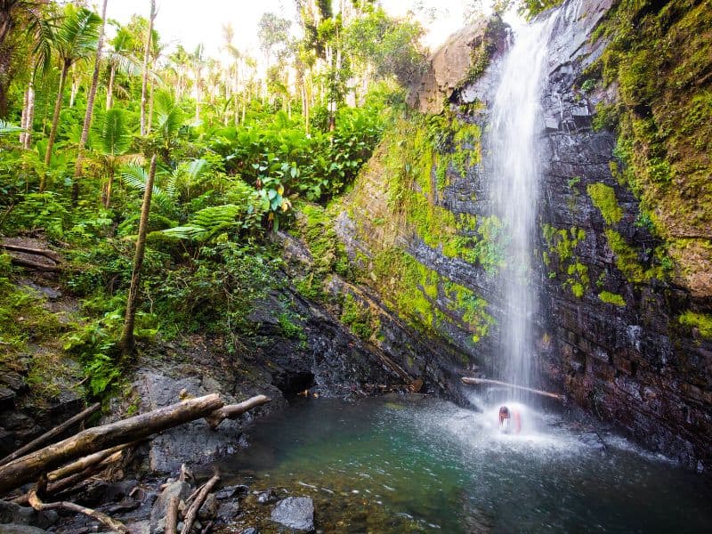 The Perfect 4 Day Puerto Rico Itinerary: The Ultimate Island Experience 6 A captivating image of La Fortuna Waterfall in Costa Rica, featuring a woman enjoying the natural beauty of the falls. The waterfall cascades powerfully yet gracefully from a lush, green cliff into a crystal-clear pool below.