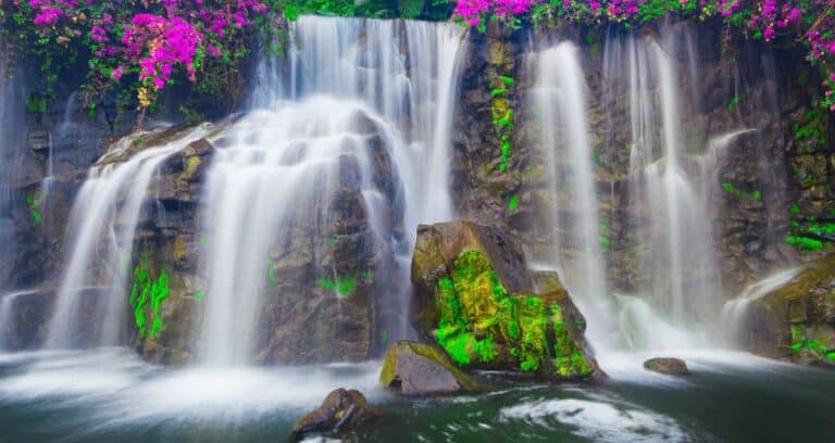 Hawaii Waterfall Hikes