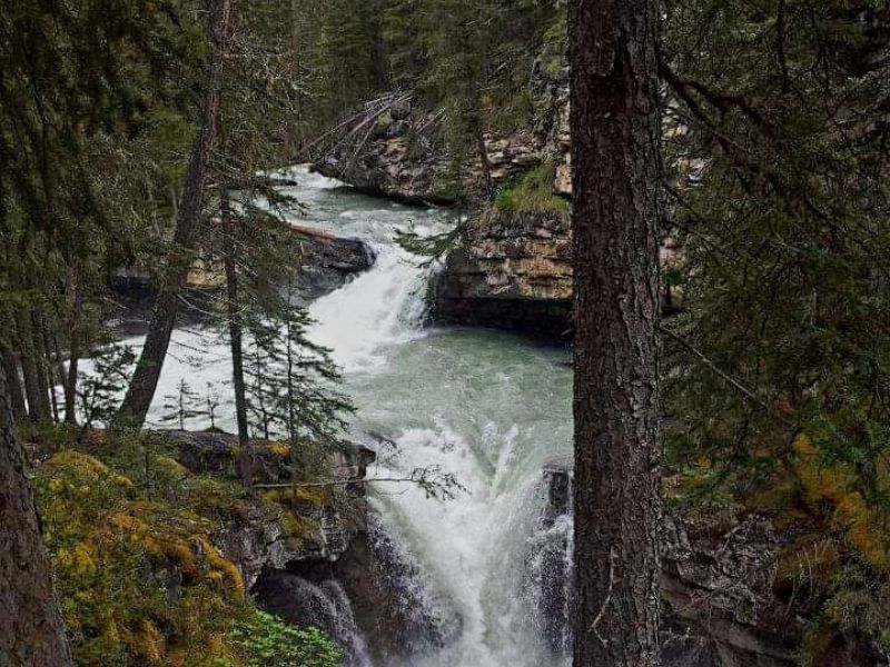 Johnson Canyon Banff Day Trip
