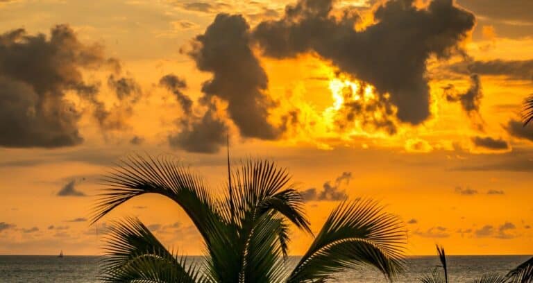 Best Resort Day Pass in Puerto Vallarta for Cruisers