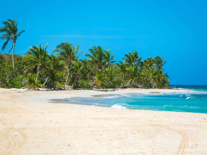 The Perfect 4 Day Puerto Rico Itinerary: The Ultimate Island Experience 7 A picturesque view of Rincón Beach, featuring its white sand and blue waters, complemented by tall coconut trees swaying gently along the shoreline.
