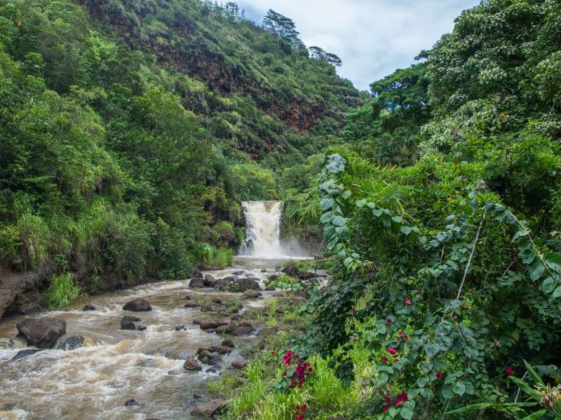 Waimea Falls