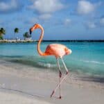 Aruba vs. Curacao – Which Will You Choose?