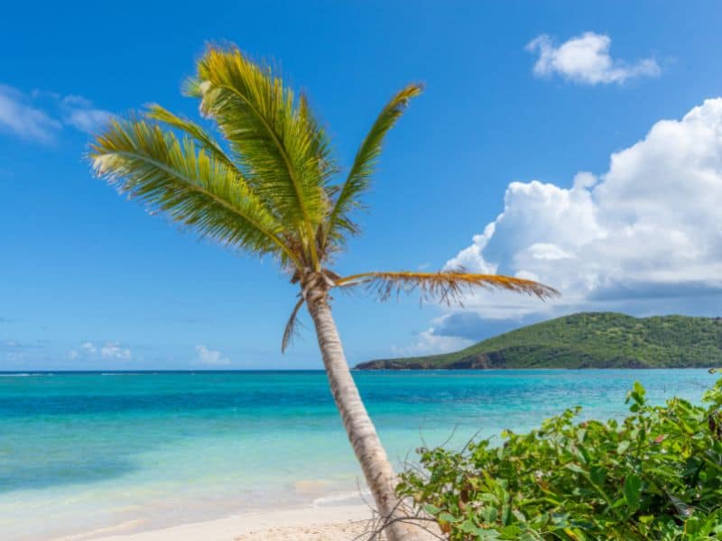 lamenco Beach, featuring pristine white sand, crystal clear blue waters, and a picturesque coconut tree.