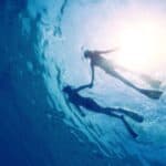 9 Reasons Freeport Is a Snorkeler’s Dream Come True!