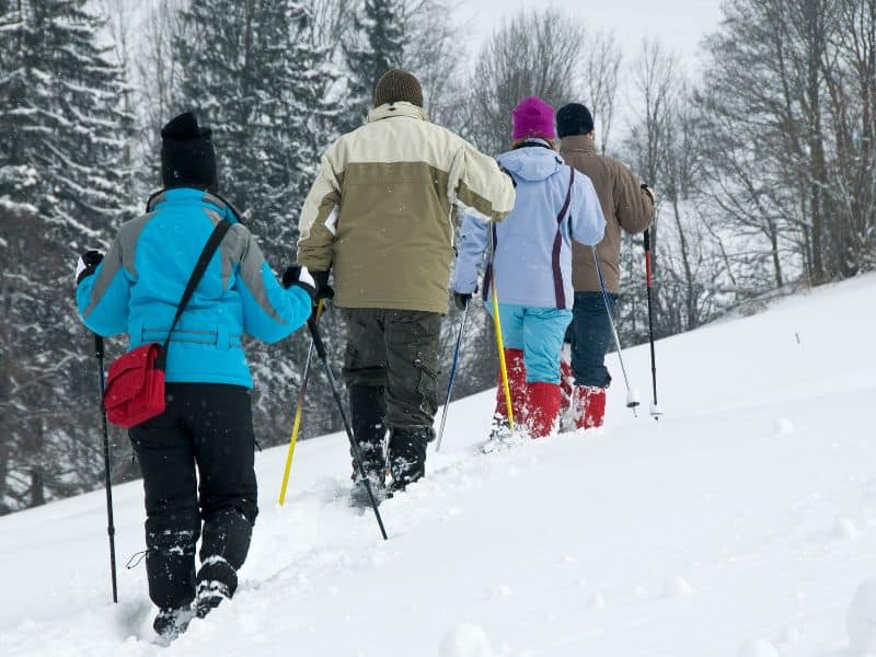 What you should know about Winter in Olympic National Park 4 4 people snowshoe up a hill.
