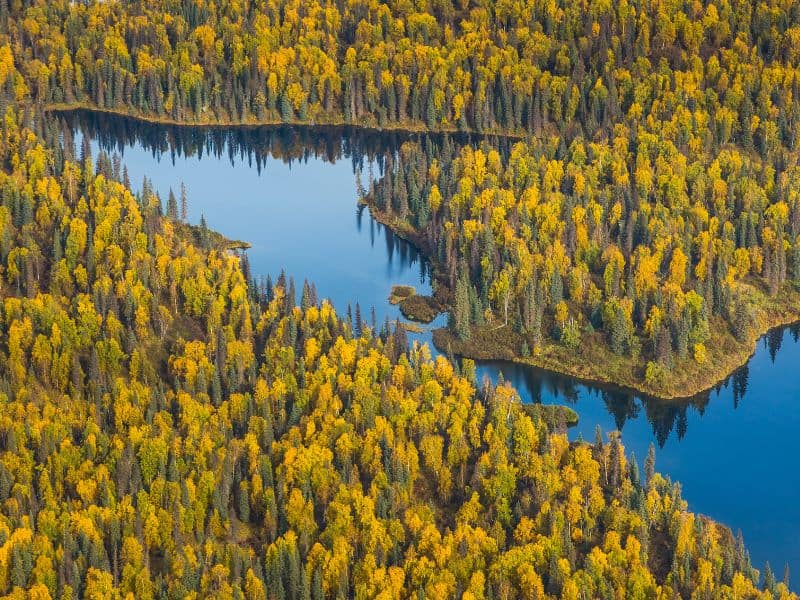 Alaska Fall