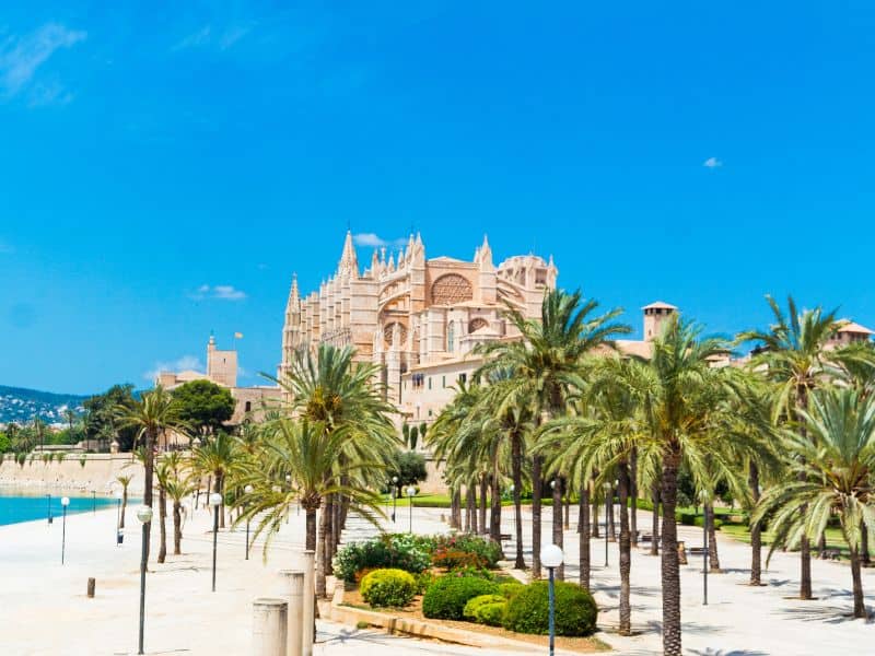 Exploring Cruise Ports in Spain: All you need to Know 15 Palm trees and a cathedral in Spain