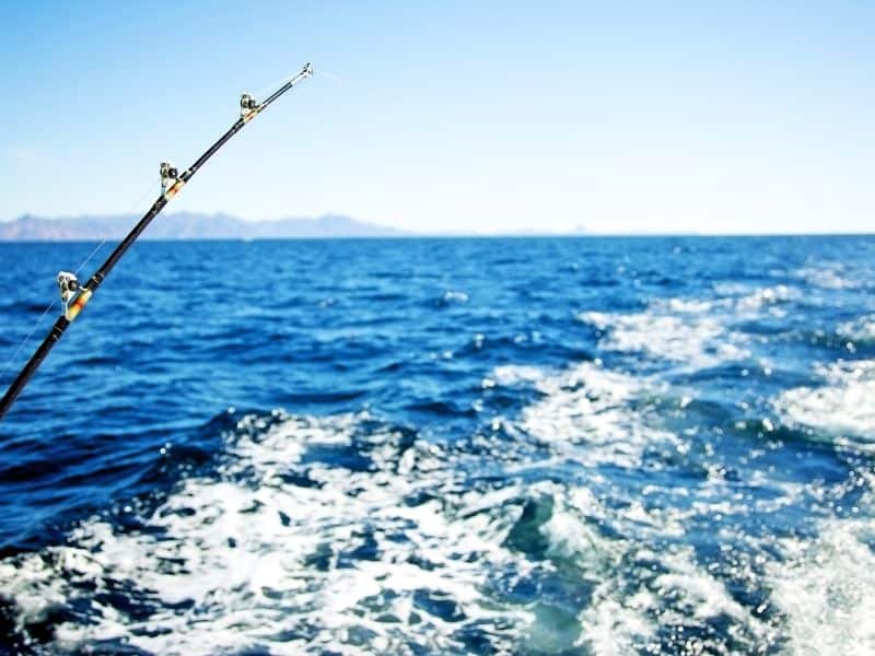 fishing pole over ocean water
