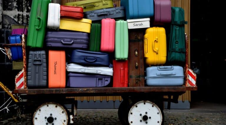 Best Luggage for Cruisers