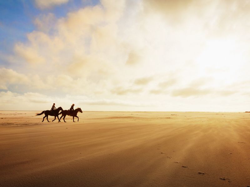horseback sand dunes