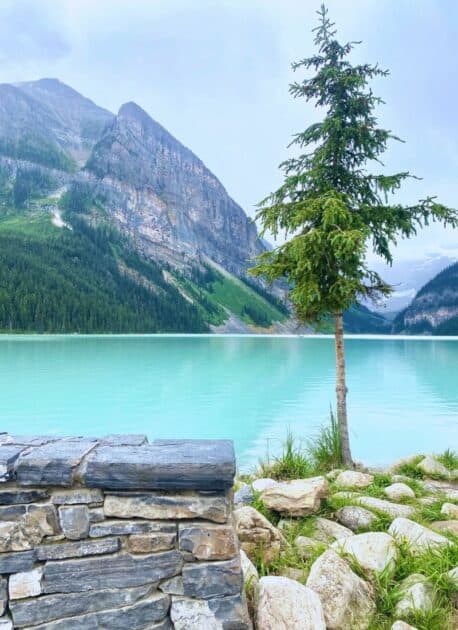 Scenic Lake Louise with its turquoise waters and majestic mountain backdrop, showcasing the epitome of natural beauty in the Canadian Rockies.