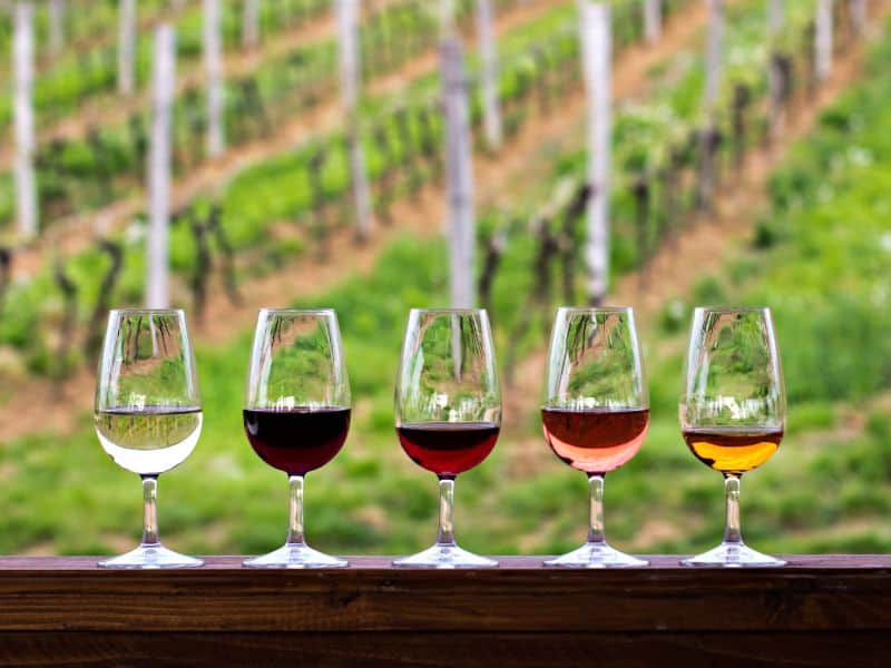 10 Best Livorno Shore Excursions 4 A delightful wine tasting experience in Bolgheri, Italy, surrounded by scenic vineyards and indulging in a variety of exquisite wines.