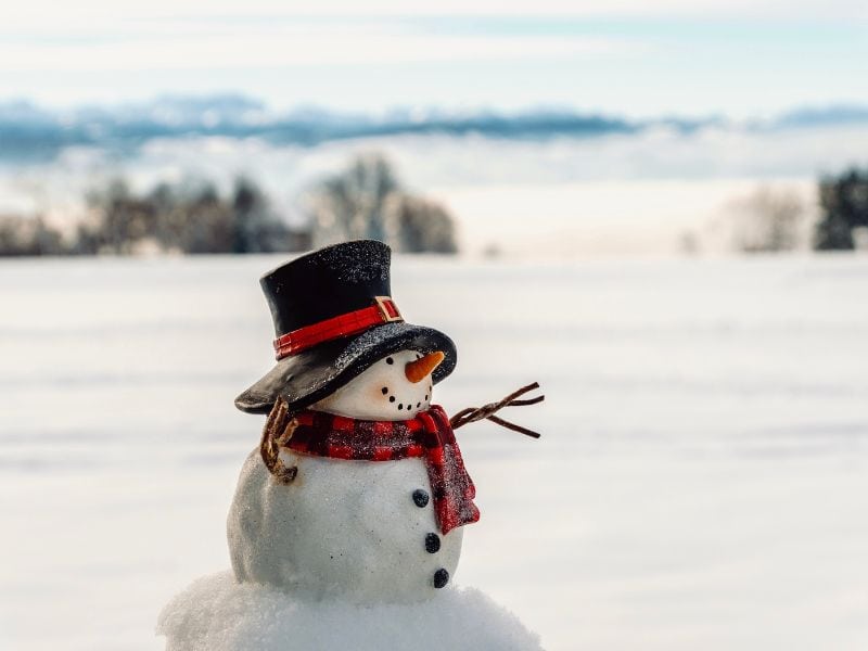 A cute cheerful snowman with a carrot nose and a top hat, standing in a snowy winter wonderland.