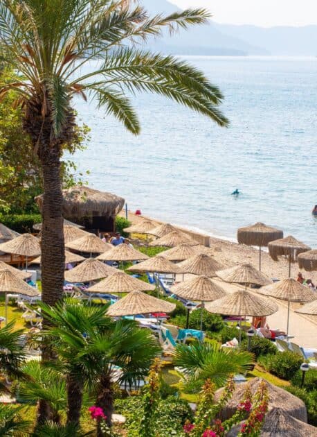 A serene coastal oasis framed by fragrant pine trees, vibrant flowers, and rows of inviting beach umbrellas, offering a tranquil escape by the Aegean Sea.