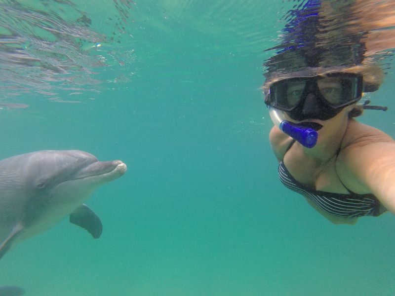 Puerto Vallarta snorkel 1