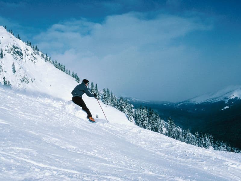 A man skijoring with in a snowy landscape.