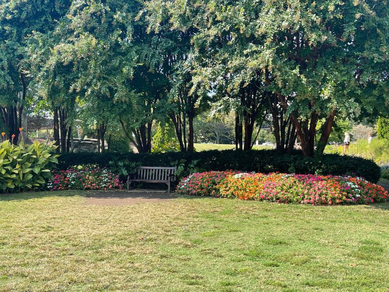 10 Travel Spots Every True Swiftie Will Know 3 Taylor Swift Bench in Centnennial Park surrounded by flowers