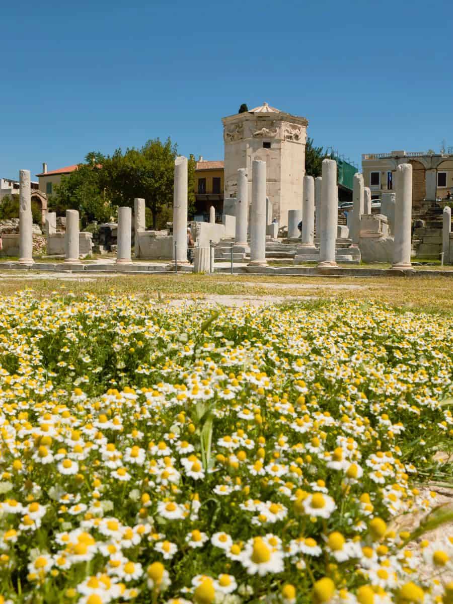 The Roman Forum adorned with vibrant flowers in full bloom.