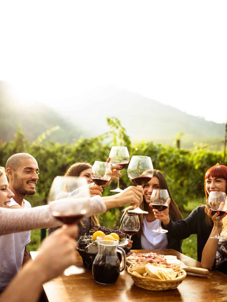Palma Mallorca Cruise Port: Everything You Need To Know 11 A group of enthusiasts sampling wines, immersed in the aromatic ambiance of a wine tasting tour.