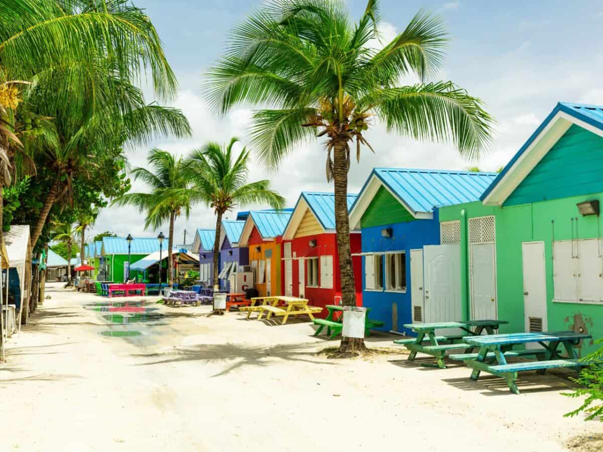 Colorful Buildings in Barbados with palm trees