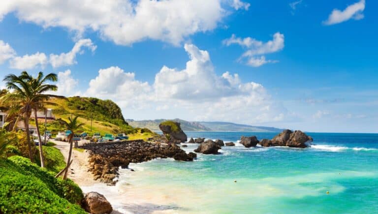 Best Caves in Barbados to Explore