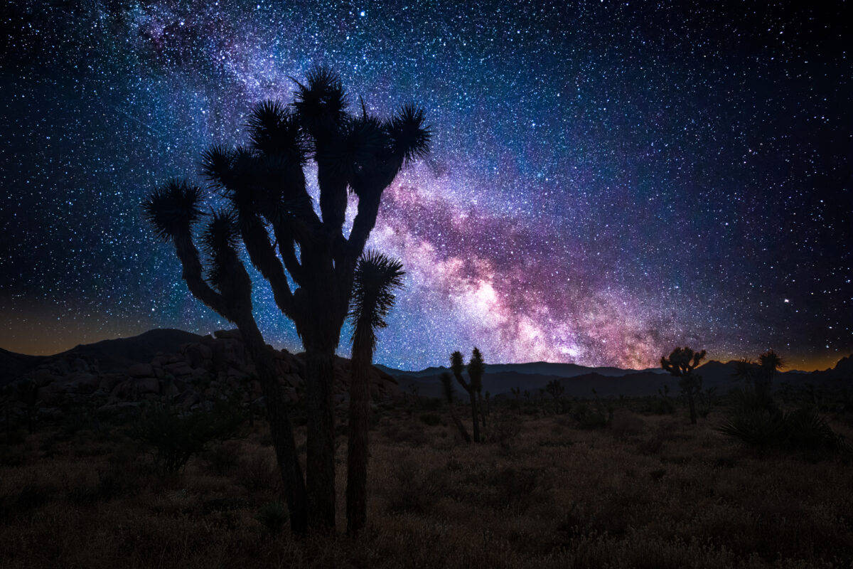 The Milky Way galaxy shines with a spectrum of colors above the unique Joshua trees and rugged landscape of Joshua Tree National Park