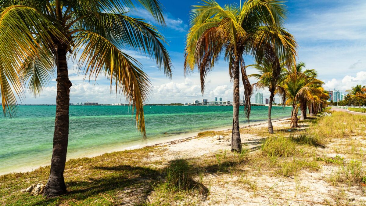 10 Breathtaking National Parks That Stay Warm During The Winter 14 Biscayne