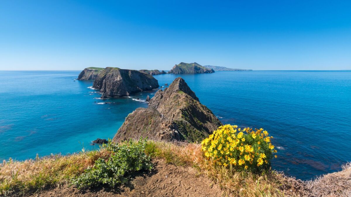 Channel Island