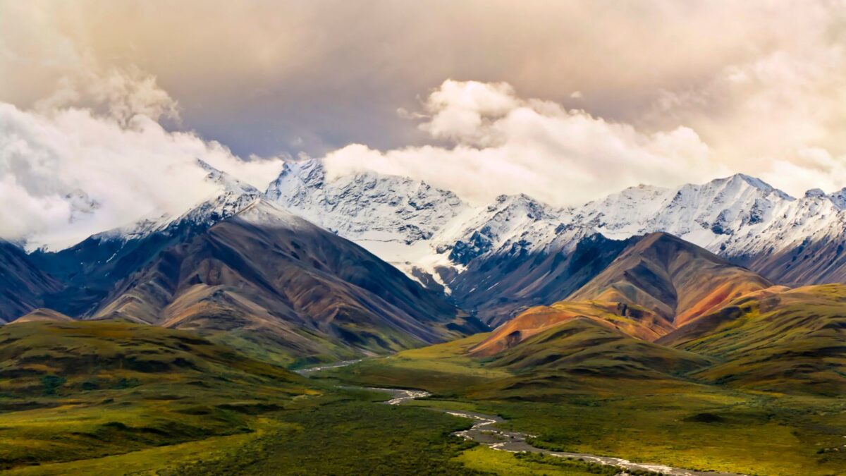 Denali 1