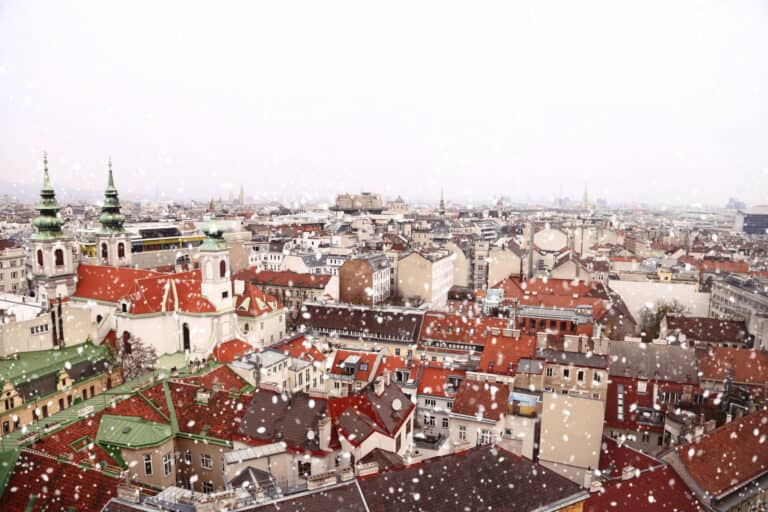 Vienna rooftops cityscape with snow