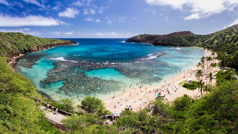 The stunning Hanauma Bay invites with its crystal-clear waters, teeming with marine life, encircled by a lush green crater under a blue sky.