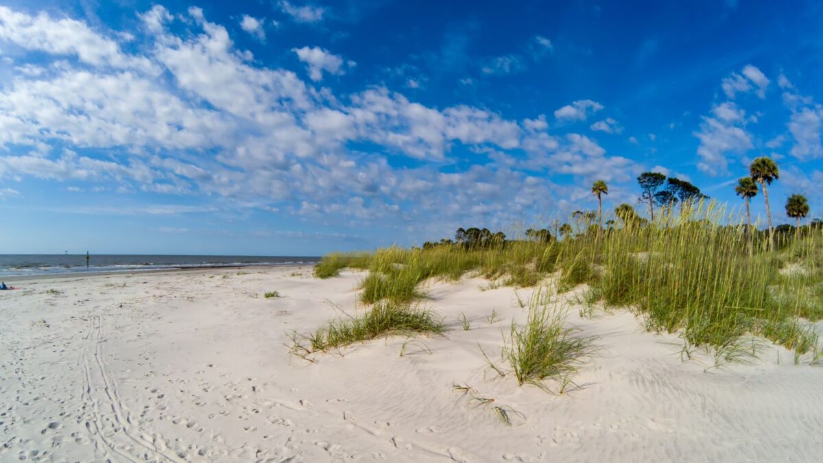 A wide sandy beach with clusters of tall grasses in the foreground leading to a line of palm trees against a vivid blue sky with fluffy white clouds. The sea is visible in the distance with a clear horizon, and footprints mark the sand