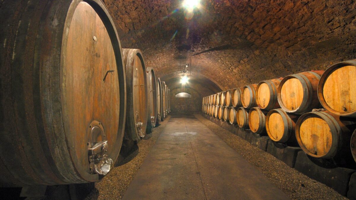 "Wine cellar at Artemis Karamolegos Winery, showcasing rows of aging wine barrels and dimly lit ambiance.