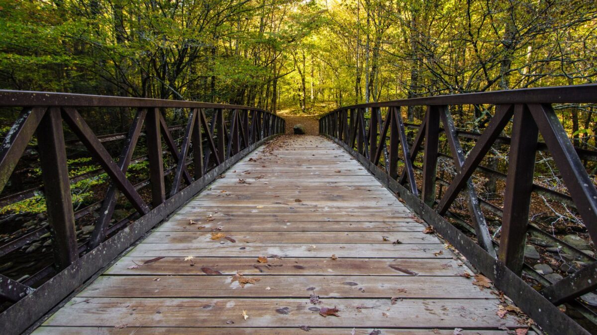 Wooden footbridge in an autumn forest.