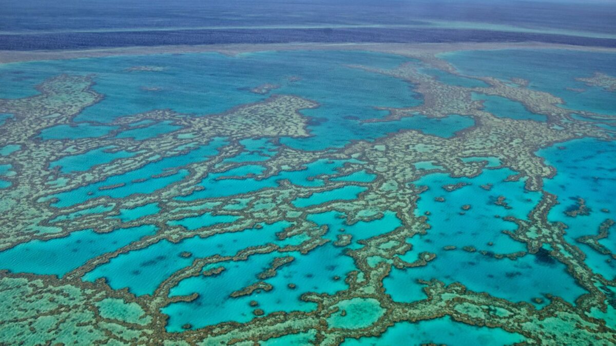 Aerial view of a large coral reef system in bright blue ocean waters.