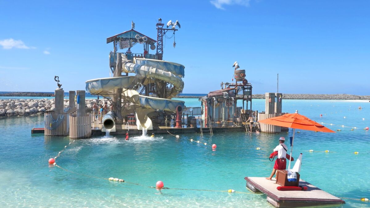 Pelican Plunge