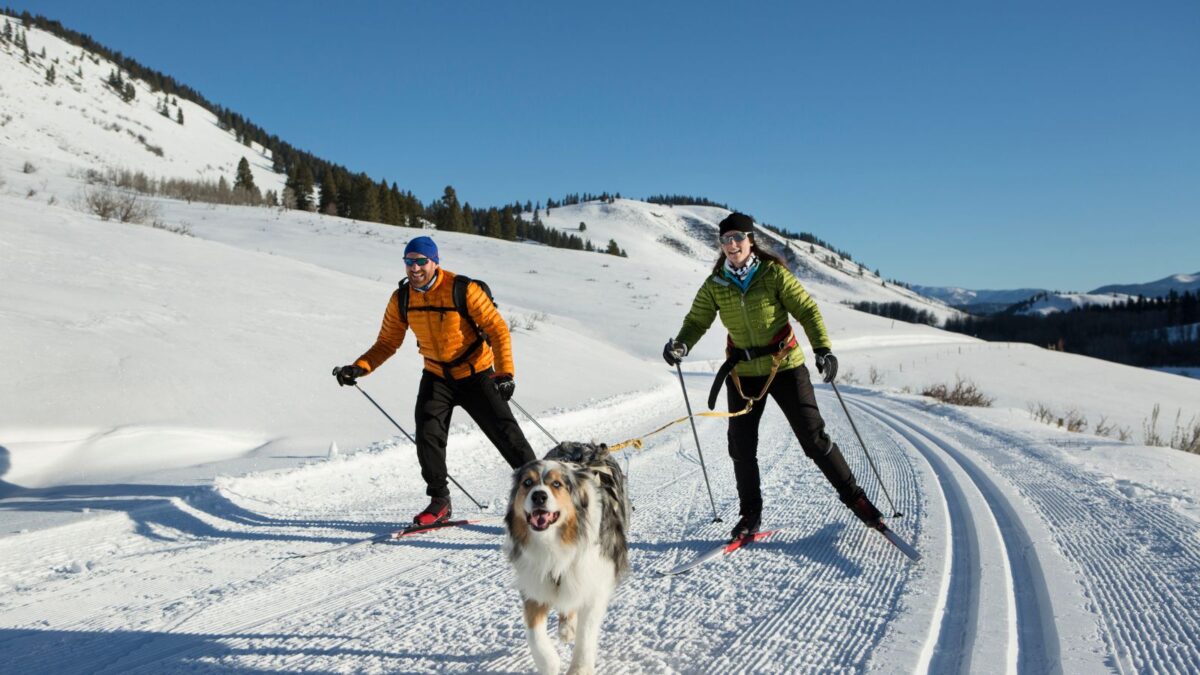Skijor