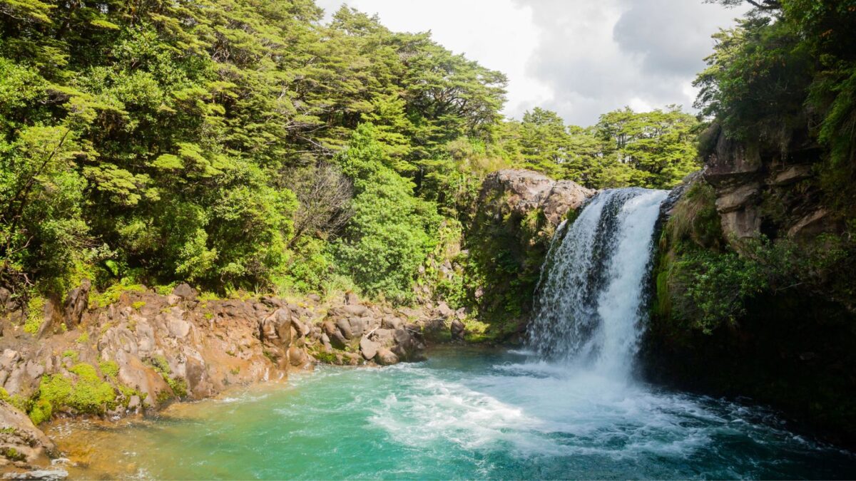 The dynamic landscape of Tongariro National Park featuring a vibrant waterfall cascading into a crystal-clear blue pool, flanked by lush forest and rock formations