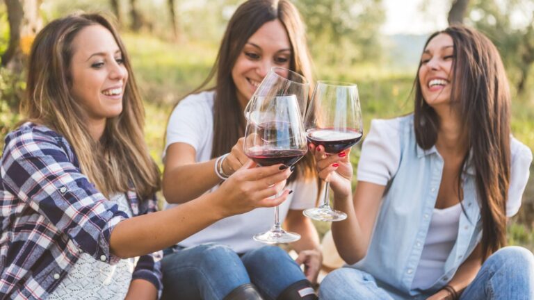 A group of friends sit on the grass, cheerfully clinking glasses of red wine, enjoying a sunny day out in the countryside.
