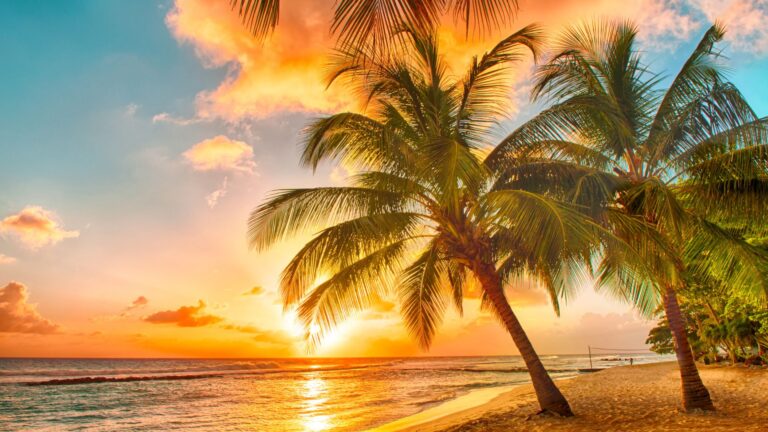 Vibrant sunset over a Barbados beach, with the sky painted in shades of yellow as the sun dips below the horizon, casting a warm glow on the calm sea waters and silhouetting palm trees along the sandy shore.