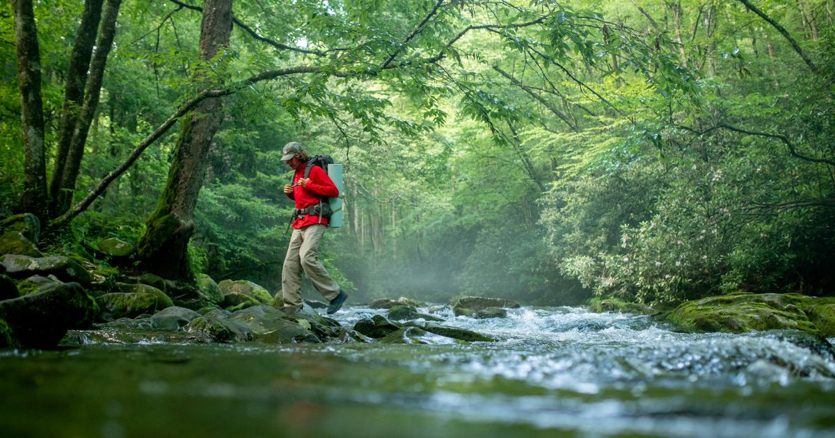 A man hiking at Smoky mountain National Park.