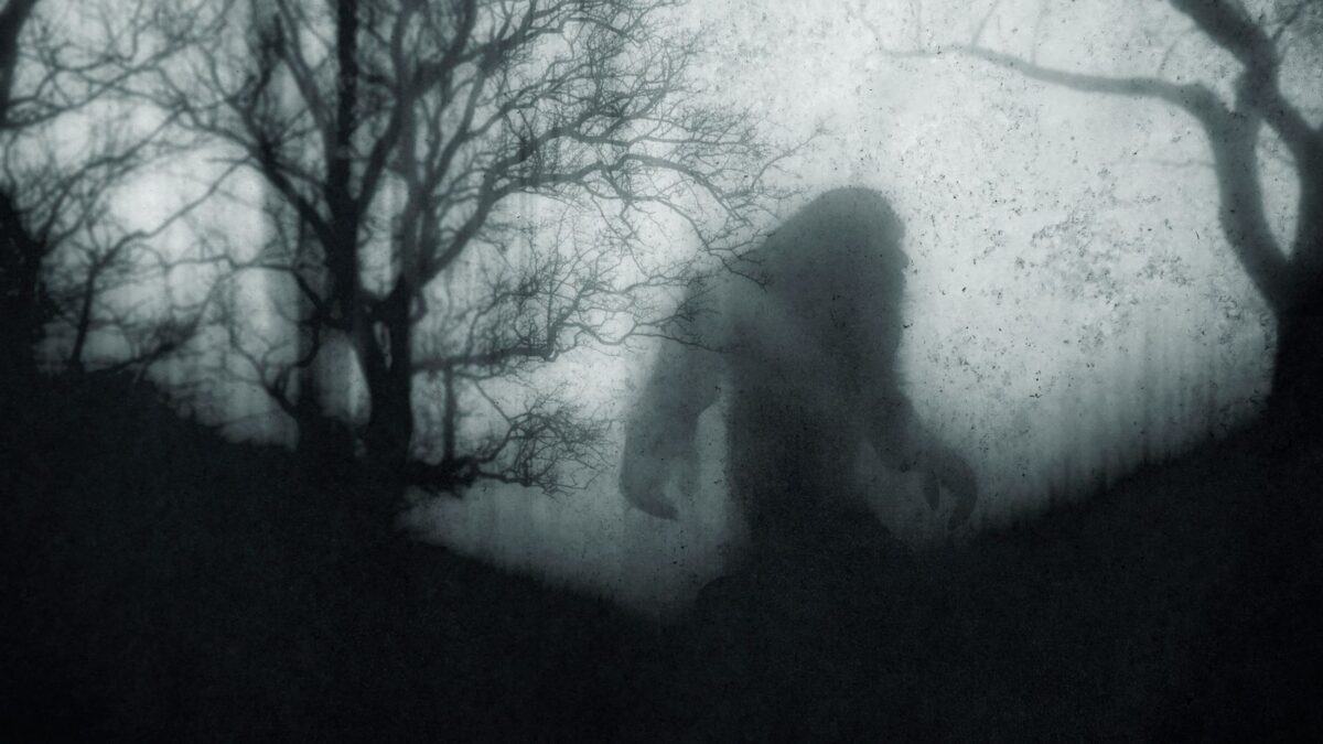 photo of a bigfoot shadow backdropping a dark forest
