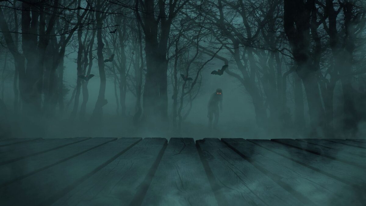 photo of a glowing eyed creature in a swamp from the dock