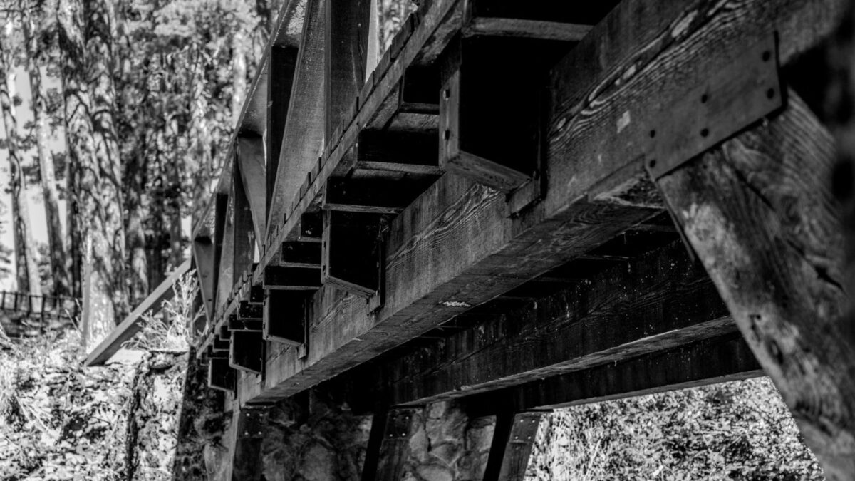grayscale picture from under a wooden bridge