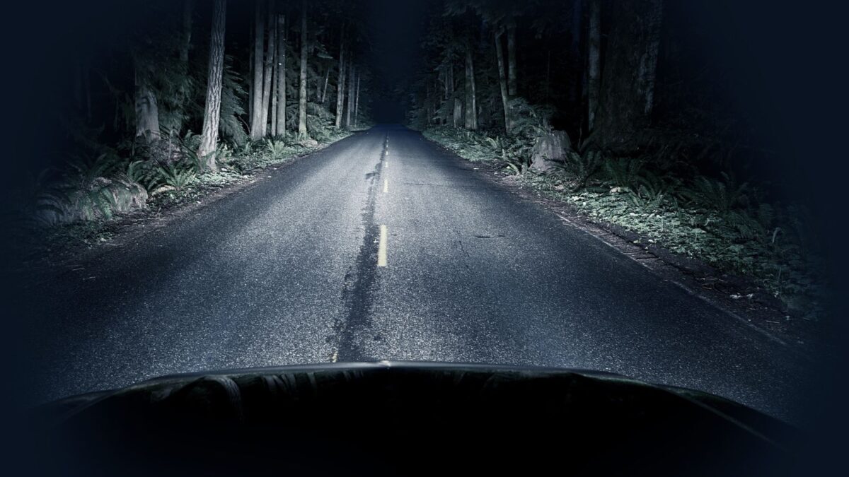 pov driving down a dark forest road