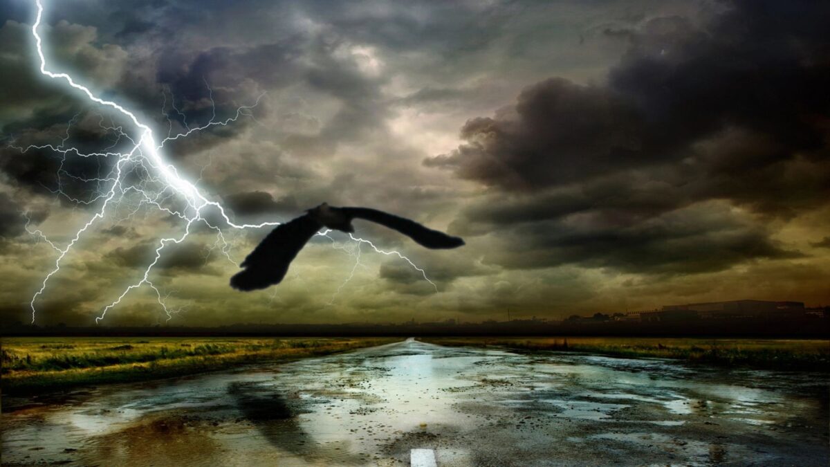 an eagle infront of a thunderstorm