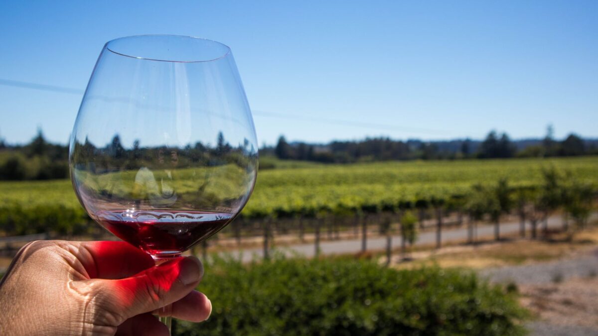 A woman at Domaine Sigalas Winery, holding a glass of red wine, with a lush vineyard in the background.